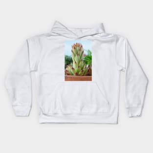 Sempervivum  'Bernstein'  Houseleek Kids Hoodie